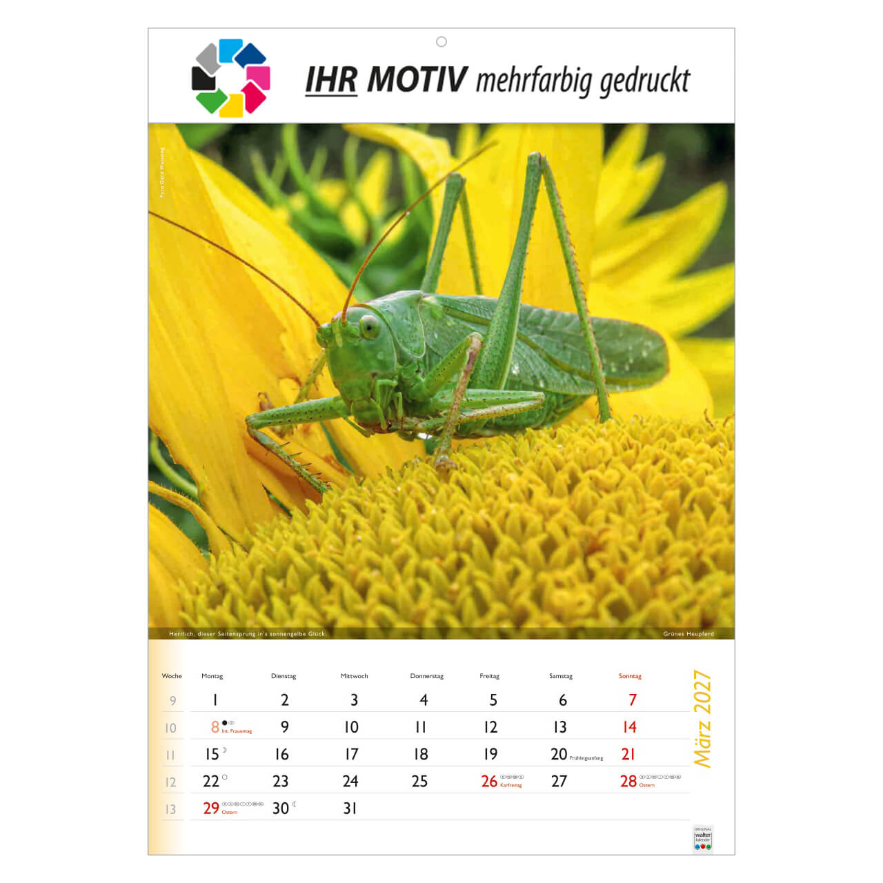 /customers_pics/593/artikel/1112113190/Wunderbare Tiere_2027_213-2027_IhreWerbung_3.jpg